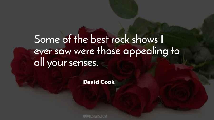 David Cook Quotes #1589855