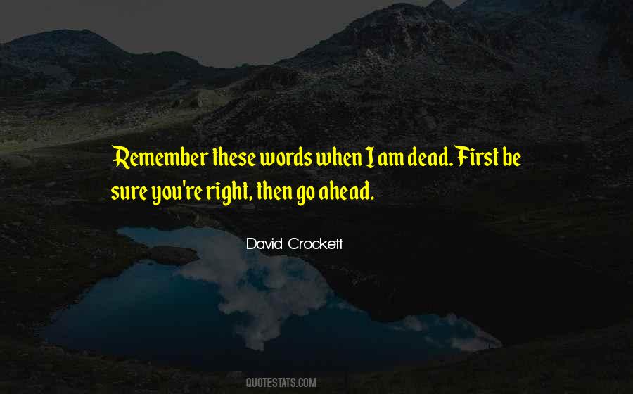 David Crockett Quotes #295356