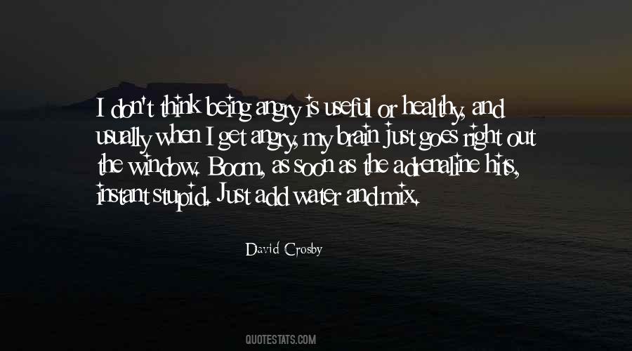 David Crosby Quotes #702783