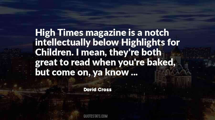 David Cross Quotes #1232364