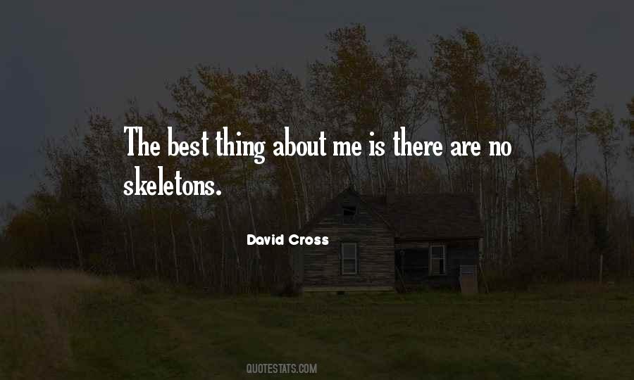 David Cross Quotes #1723388