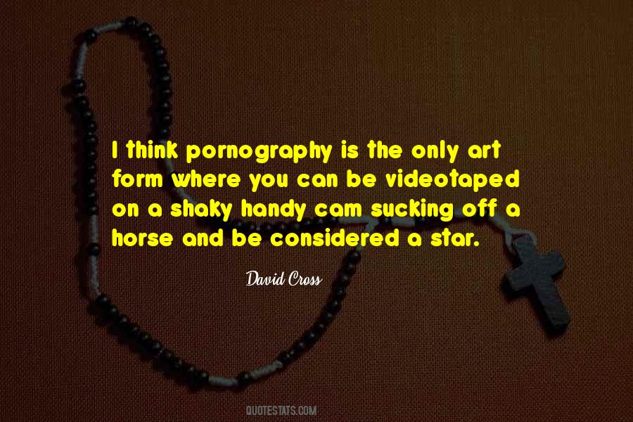 David Cross Quotes #634287