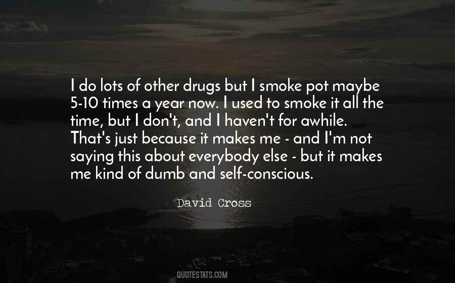 David Cross Quotes #751200