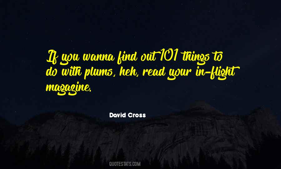 David Cross Quotes #992611