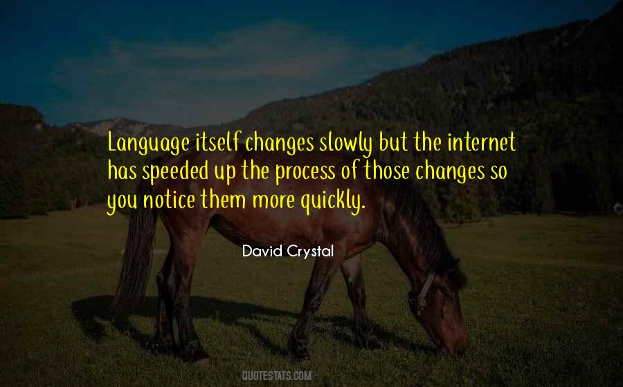 David Crystal Quotes #1065685