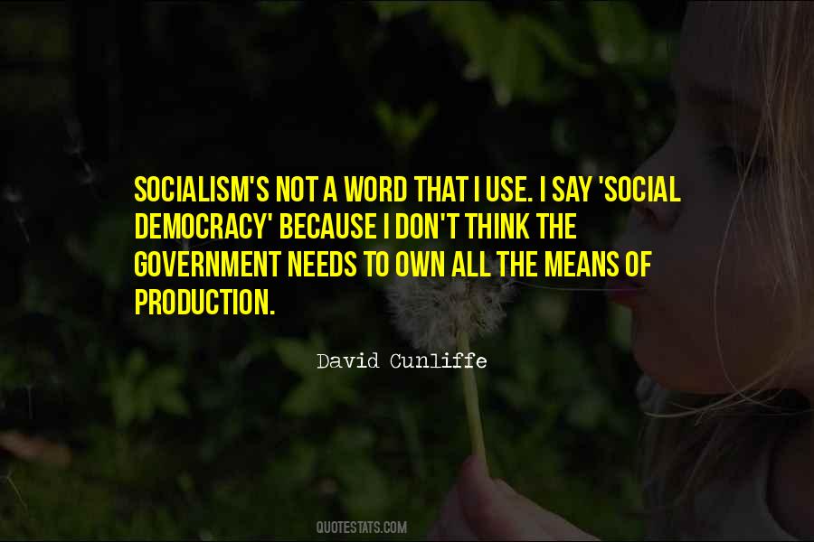 David Cunliffe Quotes #8582