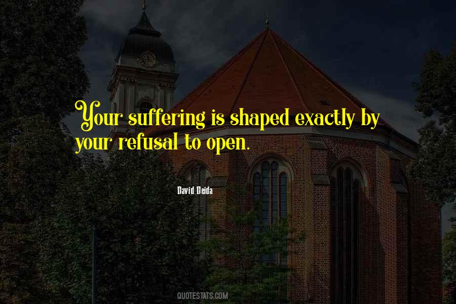 David Deida Quotes #1223455