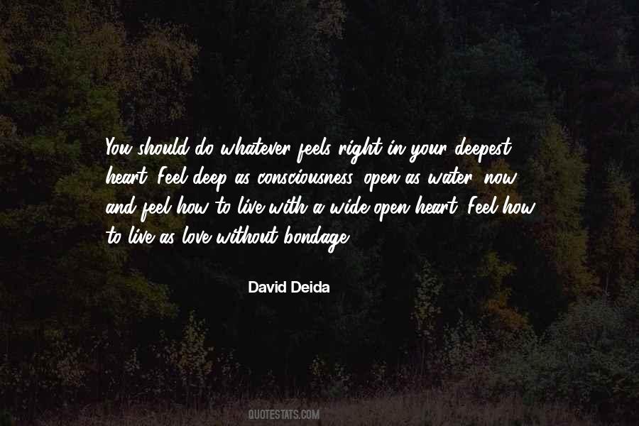 David Deida Quotes #1728722