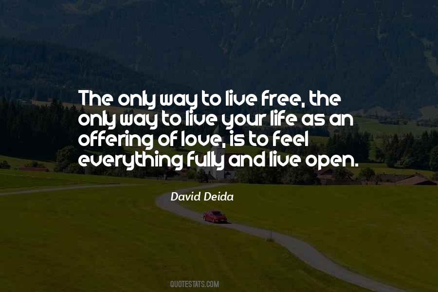 David Deida Quotes #416906