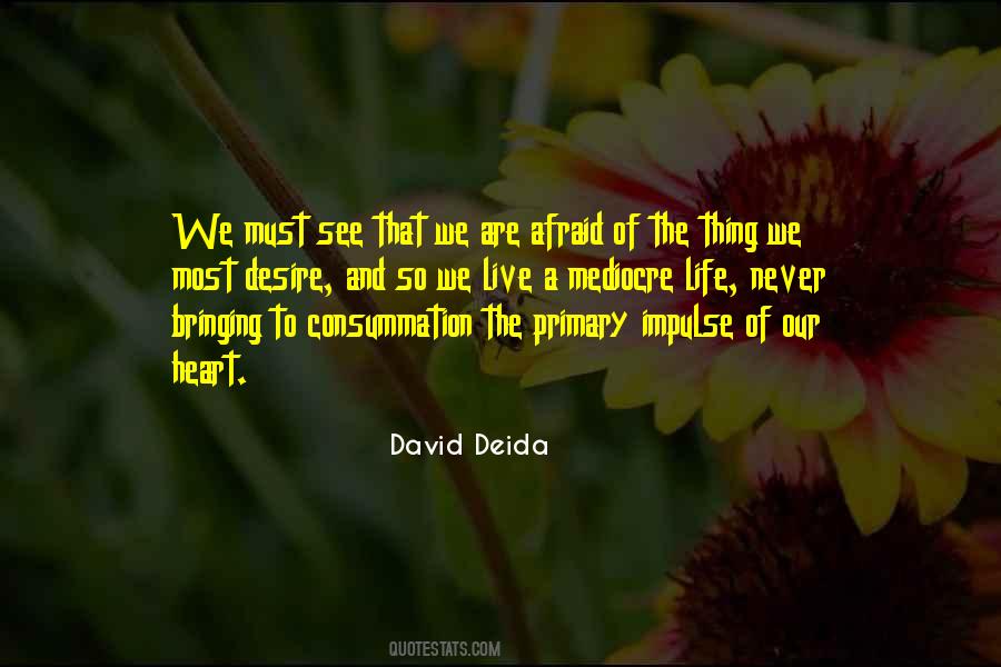 David Deida Quotes #504395