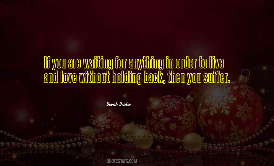 David Deida Quotes #645709