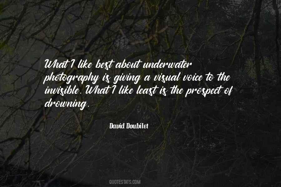 David Doubilet Quotes #771241