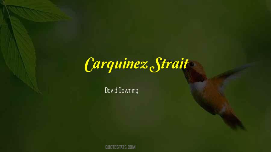 David Downing Quotes #846886