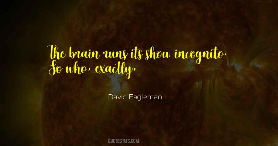 David Eagleman Quotes #1140913