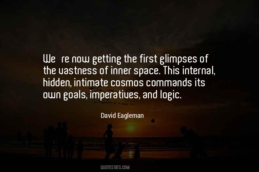 David Eagleman Quotes #1295194