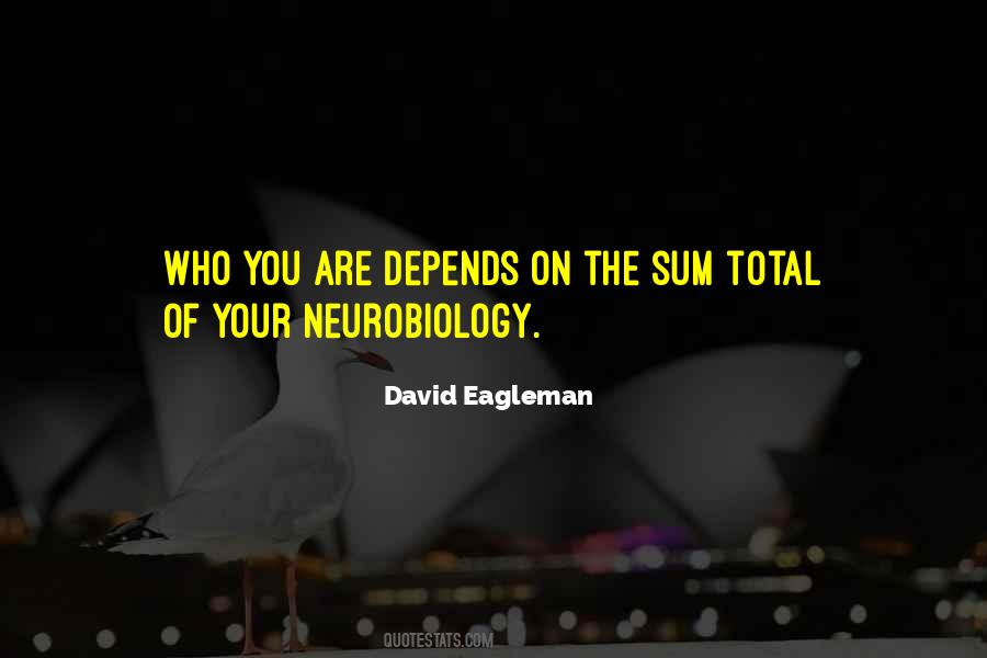 David Eagleman Quotes #1630759
