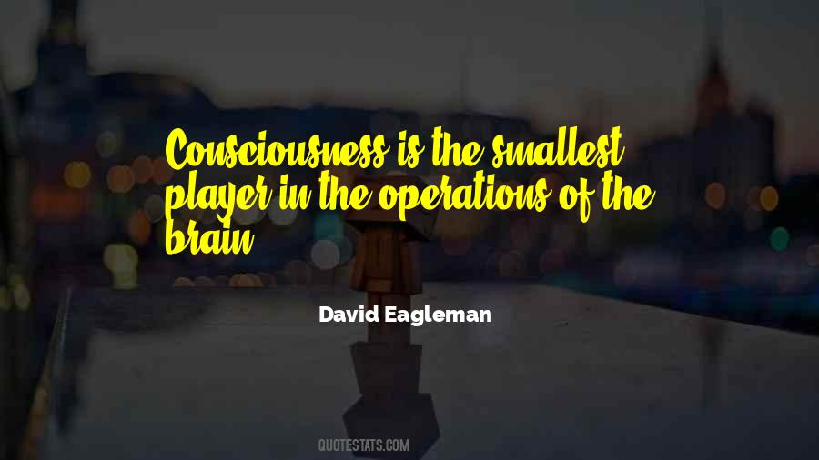 David Eagleman Quotes #1668497