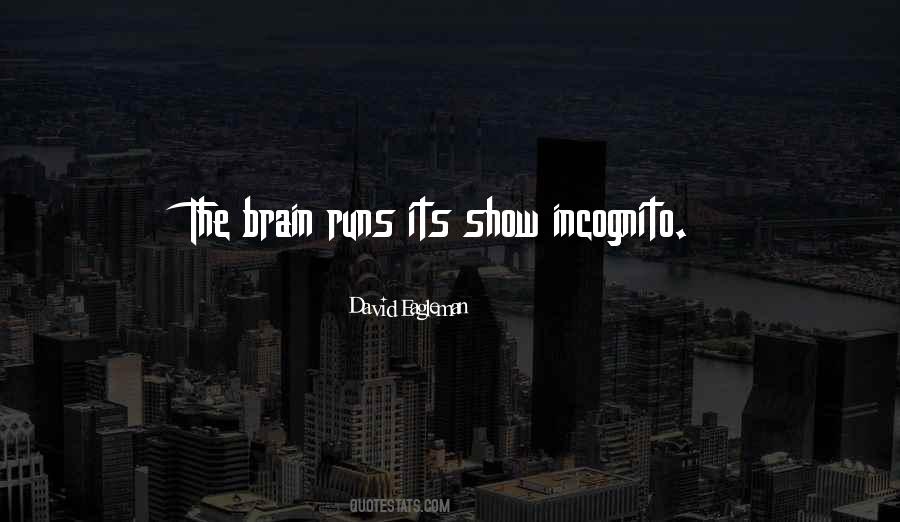 David Eagleman Quotes #270316