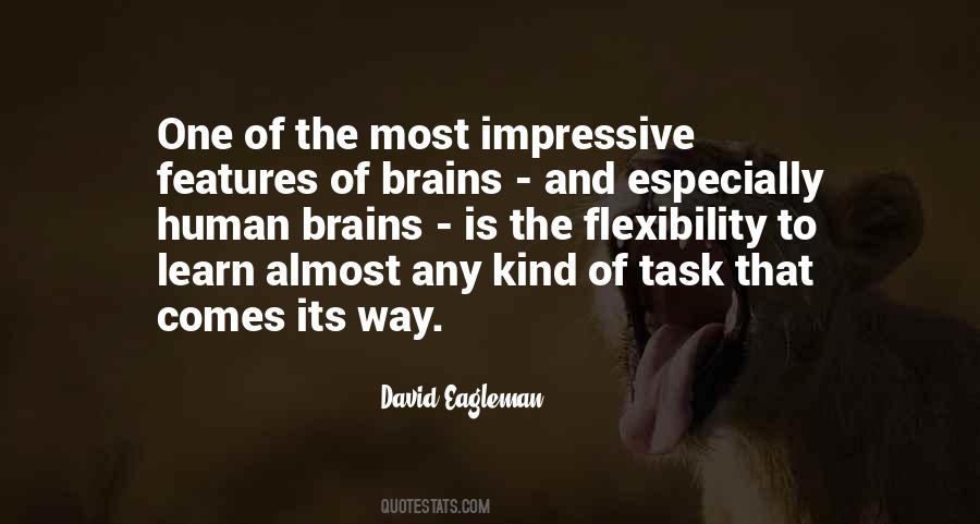David Eagleman Quotes #297068