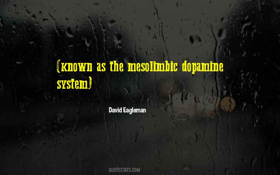 David Eagleman Quotes #354899