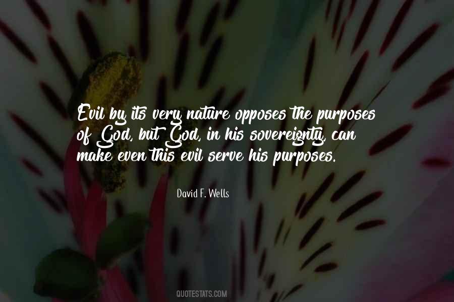 David F. Wells Quotes #1433286