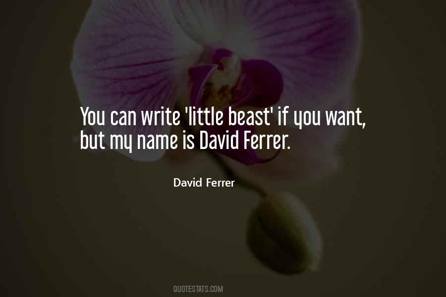 David Ferrer Quotes #1542252