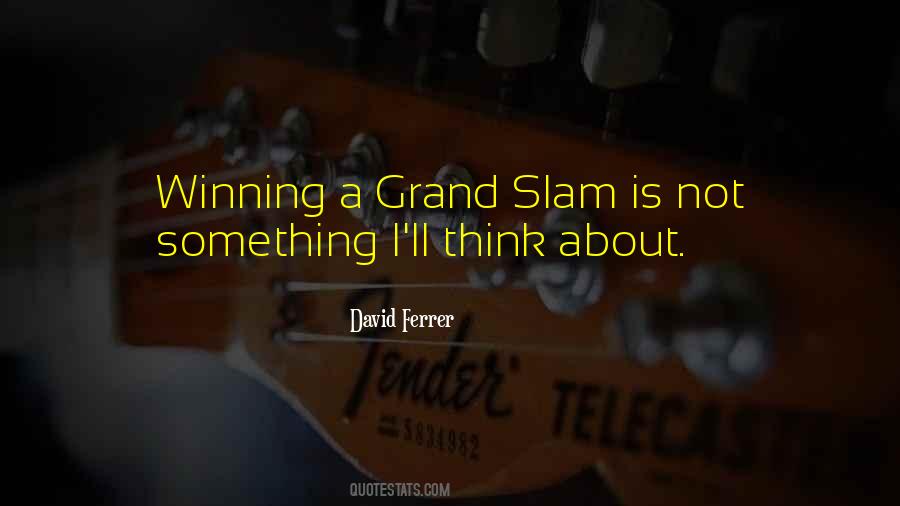 David Ferrer Quotes #608893