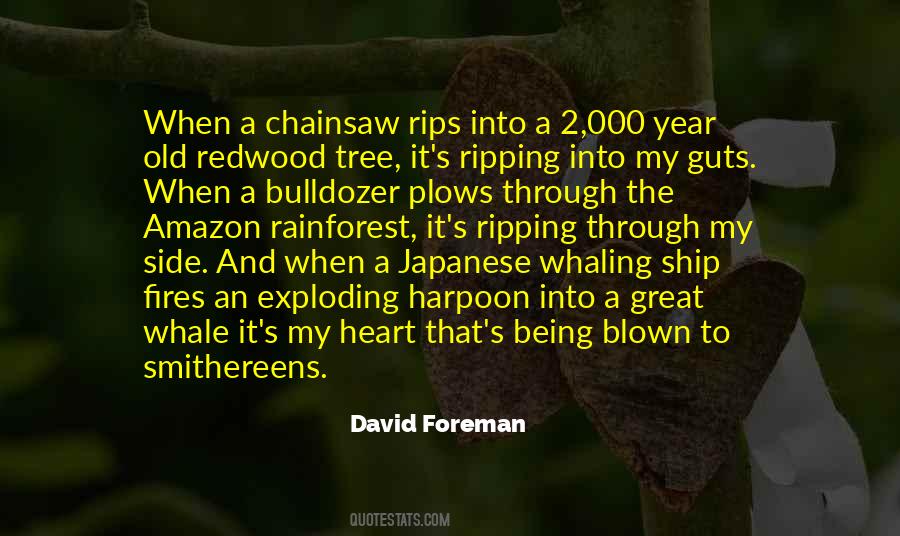 David Foreman Quotes #1141881