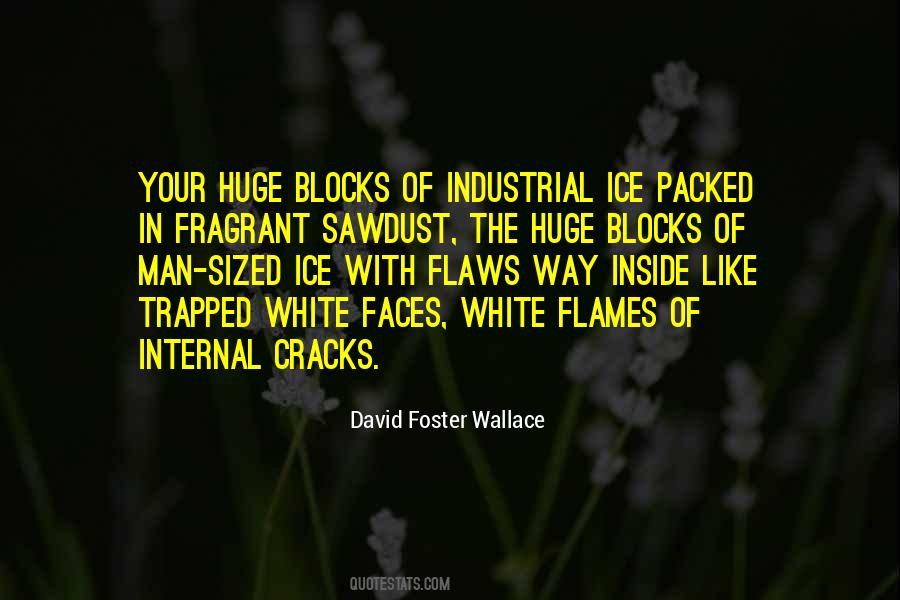 David Foster Wallace Quotes #1660777