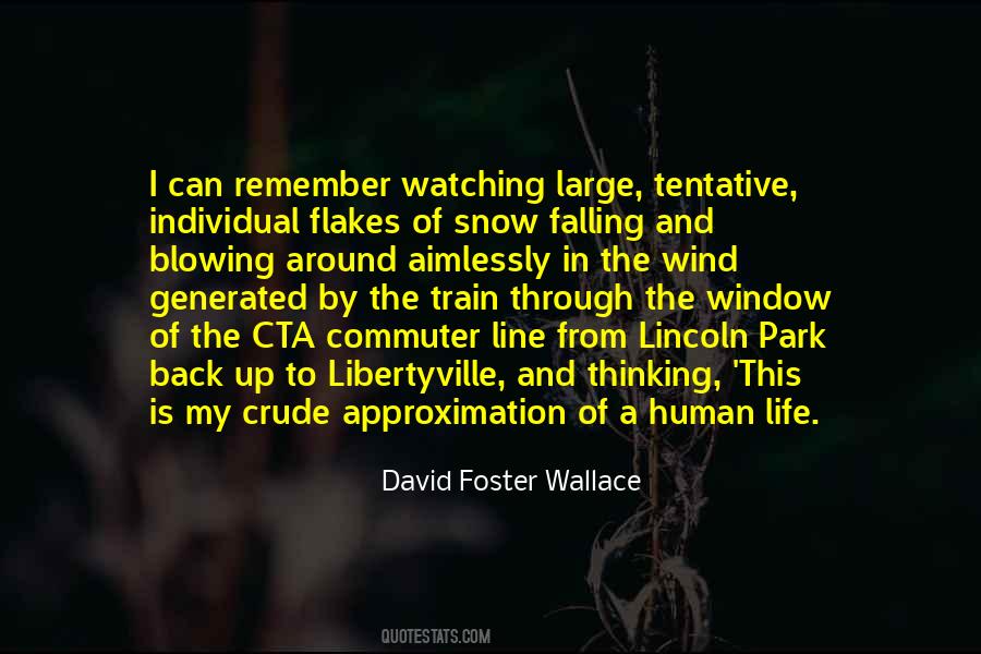 David Foster Wallace Quotes #322959