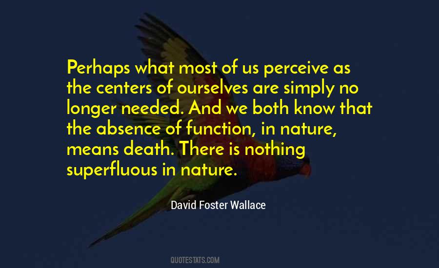 David Foster Wallace Quotes #533641