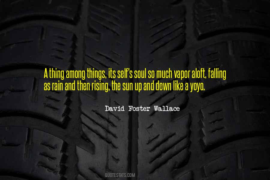 David Foster Wallace Quotes #565315