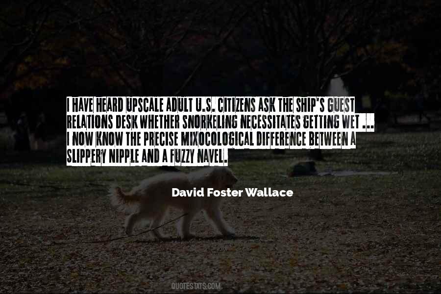 David Foster Wallace Quotes #896270