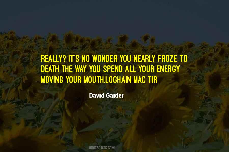 David Gaider Quotes #1491451