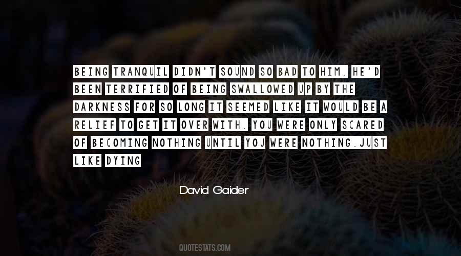 David Gaider Quotes #288268