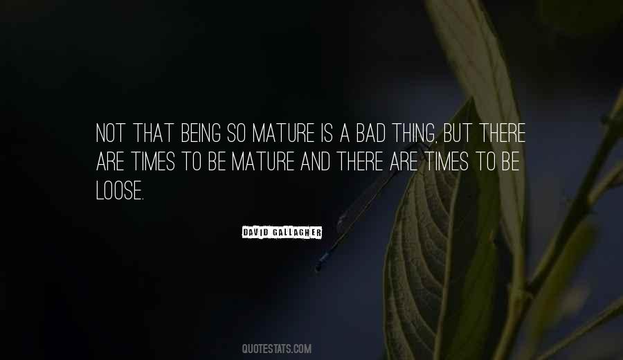 David Gallagher Quotes #722232
