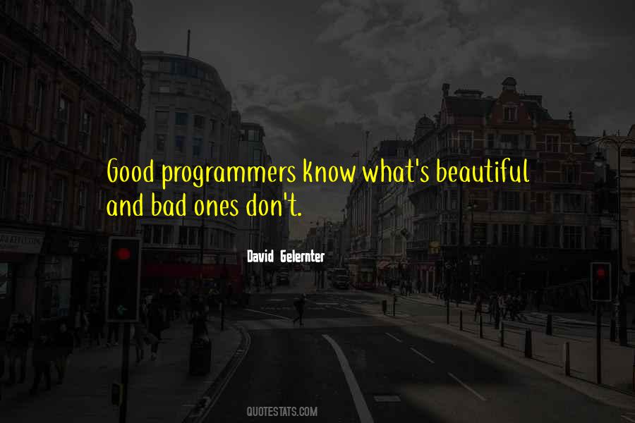 David Gelernter Quotes #1272400