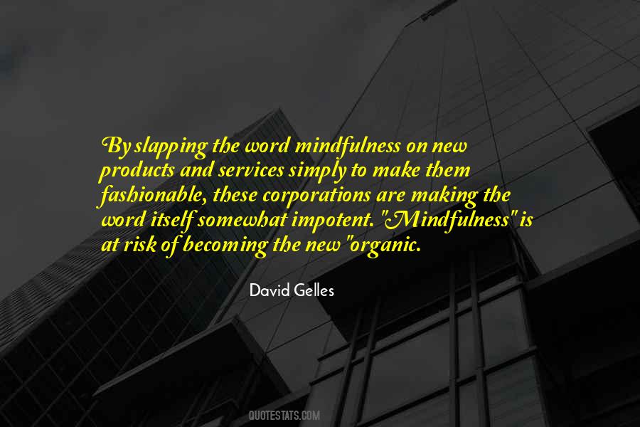 David Gelles Quotes #691816