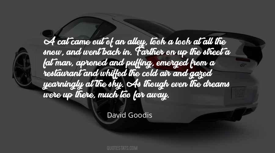 David Goodis Quotes #1801009