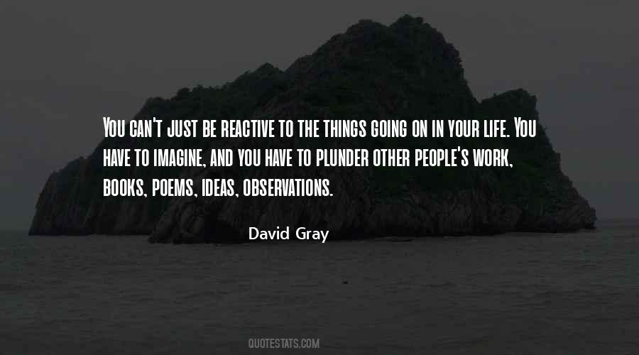 David Gray Quotes #140568