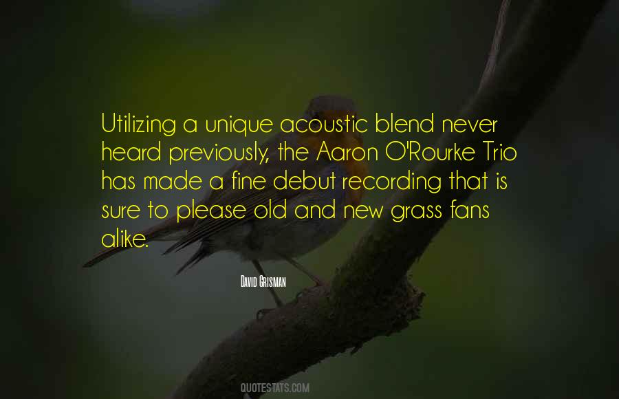 David Grisman Quotes #1139134 David Grisman Quotes #1139134