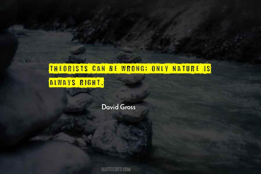 David Gross Quotes #1861125