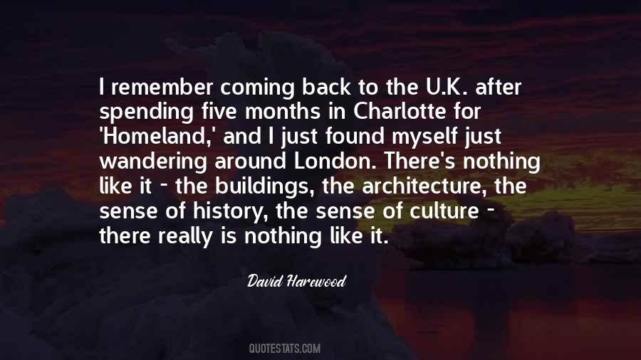 David Harewood Quotes #1680337