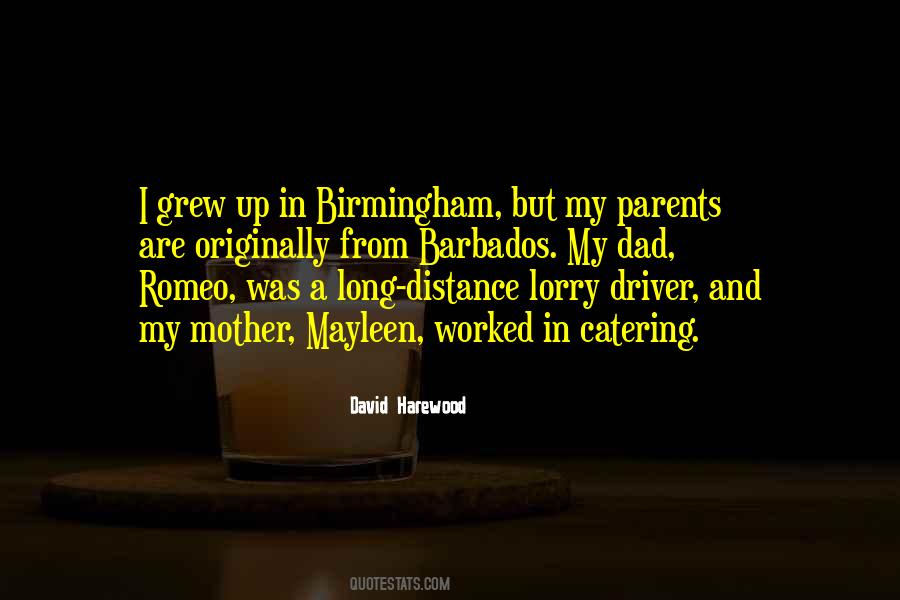 David Harewood Quotes #710810