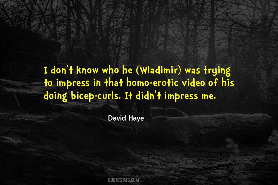 David Haye Quotes #1132641