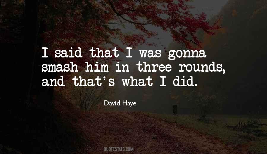 David Haye Quotes #1228566