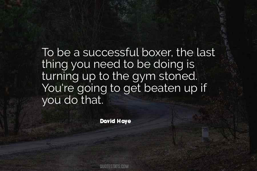 David Haye Quotes #473082