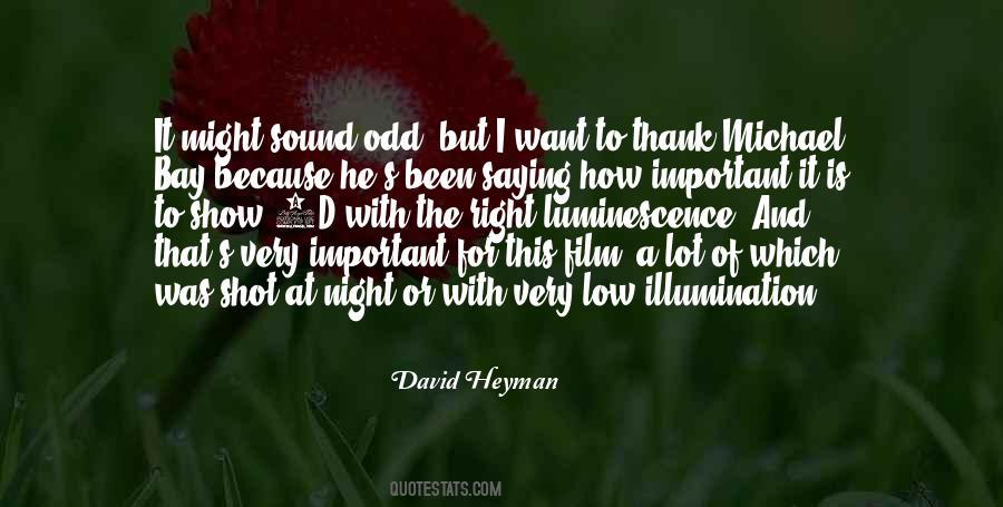 David Heyman Quotes #1484796