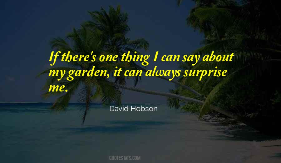 David Hobson Quotes #1348181