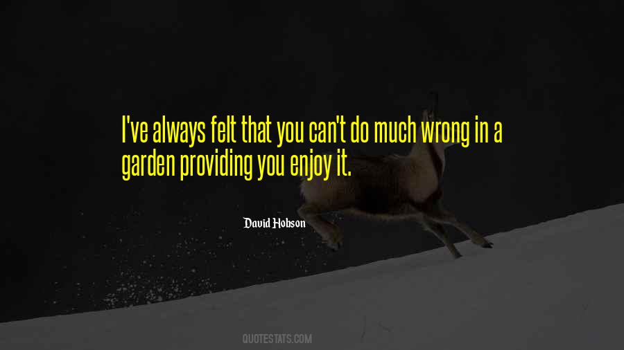 David Hobson Quotes #422551